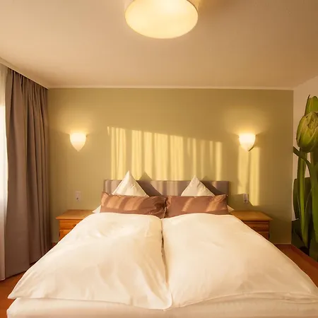 Hotel Fiori Bad Soden-Salmünster